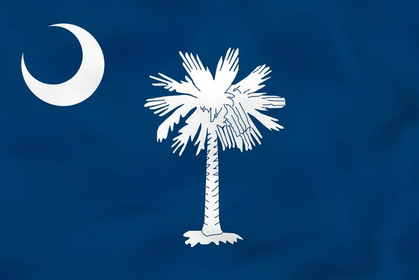 Южная Каролина размахивает флагом. Фоновая текстура флага Южной Каролины . — стоковый вектор