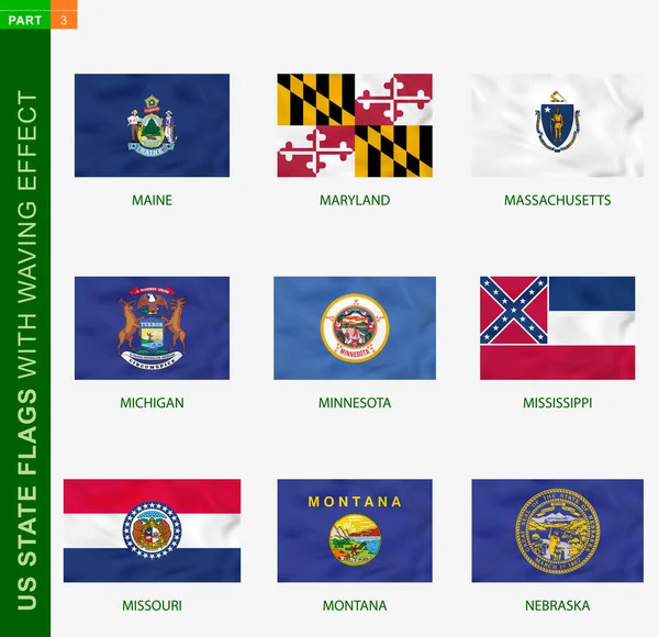 Набір Державних Прапорів Сша Ефектом Махання Національний Прапор Текстурою Американський — стоковий вектор