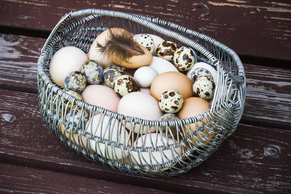 Λευκό και καφέ κοτόπουλο αυγά σε ένα μεταλλικό καλάθι — Φωτογραφία Αρχείου