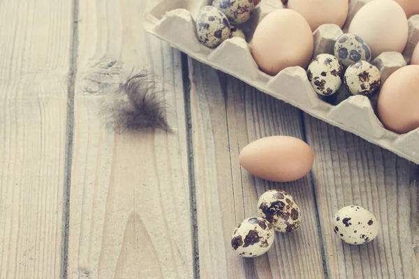 Œufs de la ferme de poulet et de caille dans l'emballage . — Photo