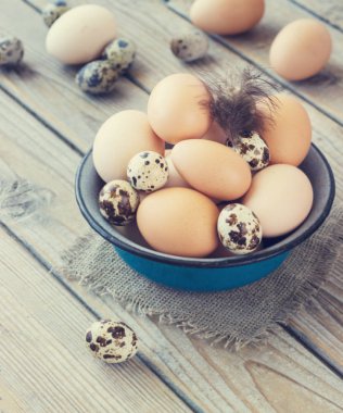 Metal bir kase tavuk ve bıldırcın çiftliğinden yumurta