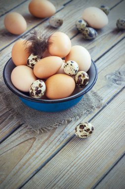 Metal bir kase tavuk ve bıldırcın çiftliğinden yumurta