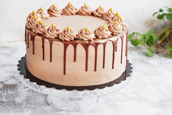 Tarta de Chocolate con Fudge Lloviznados con hielo y rizos — Foto de Stock