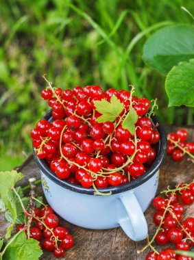 Metal bir kupa sokaklarda kırmızı kuş üzümü