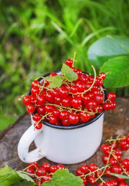 Metal bir kupa sokaklarda kırmızı kuş üzümü