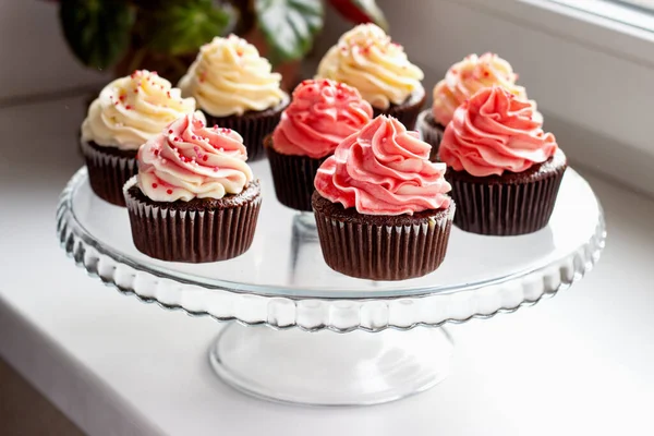 Muffins de chocolate com um chapéu de creme rosa e branco — Fotografia de Stock