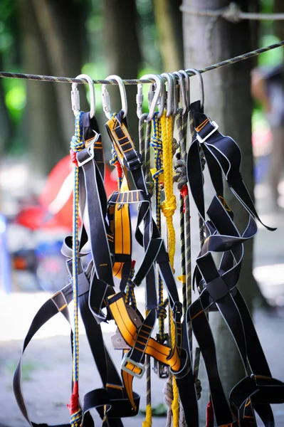 Um cinto de segurança para parque de corda — Fotografia de Stock