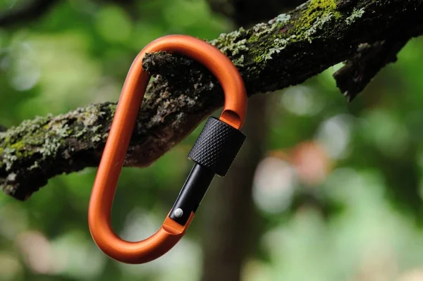 Carabiner climbing close-up. — Stock Photo, Image