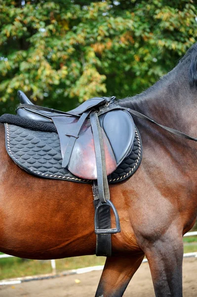 Detail of a horse saddle — Stock Photo, Image