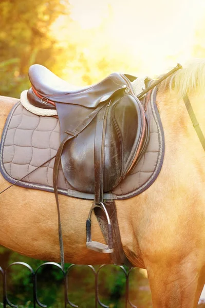 Detail of a horse saddle — Stock Photo, Image