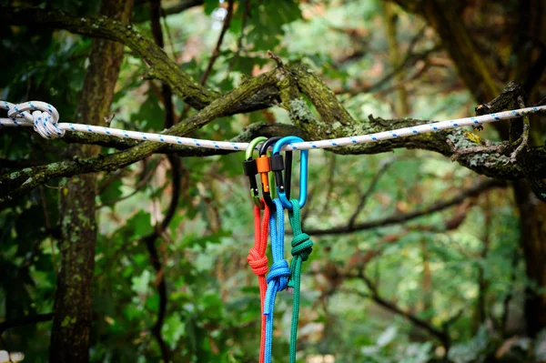 Moschettone con corda sullo sfondo della natura . — Foto Stock