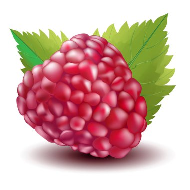 Parlak sulu berry Ahududu yaprakları ile