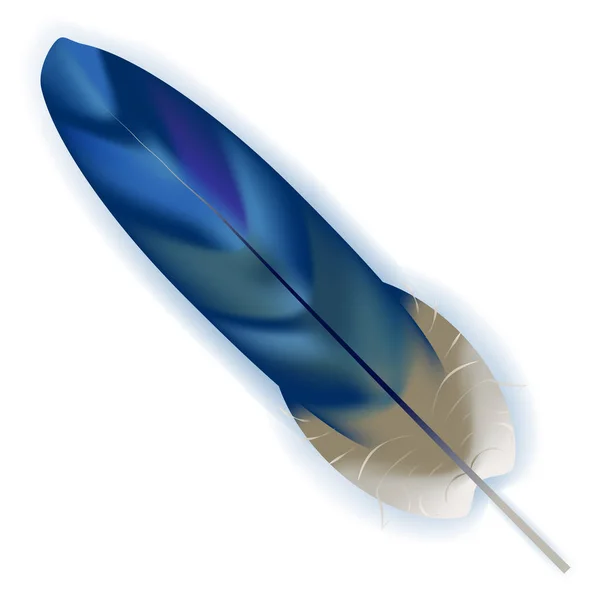 Bright blue bird feather — Stock Vector