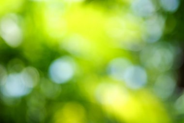 yeşil arka plan bulanık.