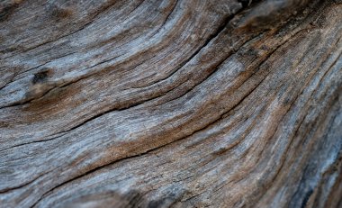 Ahşap doğal yüzey arka plan.