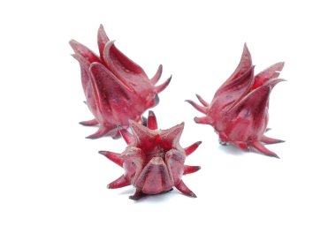 Beyaz arka planda Hibiscus Sabdariffa veya Roselle meyveleri.