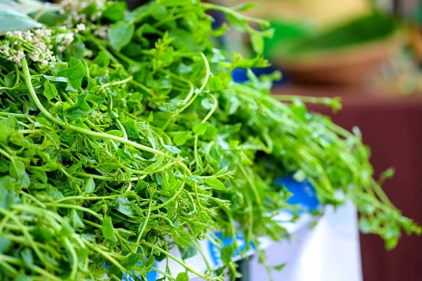 Espinafre de Ceilão no mercado de produtos hortícolas orgânicos . — Fotografia de Stock