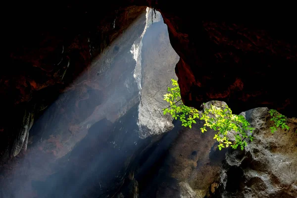 Erstaunliches Licht in der Khao Luang Höhle in der thailändischen Provinz Phetchaburi — Stockfoto