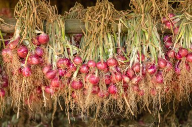 Arpacık ahşap raylar üzerinde.