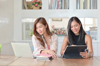 İki güzel iş kadınının çalışma odasındaki iş yerinde dizüstü bilgisayarda çalışmalarını yakından izleyin..