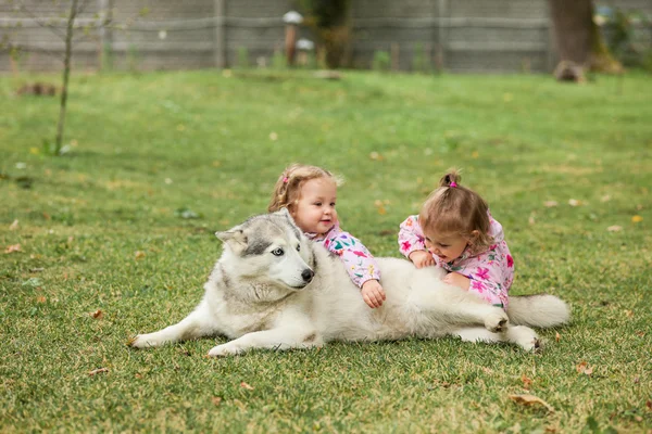 Две маленькие девочки играют с собакой против зеленой травы — стоковое фото