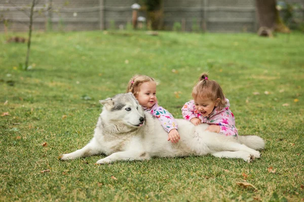 Les deux petites filles jouant avec le chien contre l'herbe verte — Photo