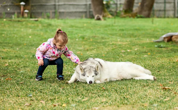 La petite fille jouant avec le chien contre l'herbe verte — Photo