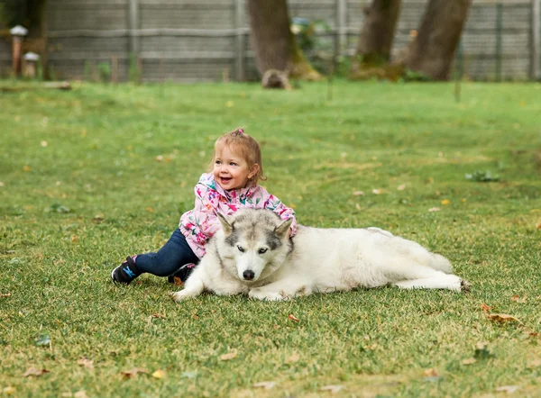 The little baby girl playing with dog against green grass — Stock Photo, Image