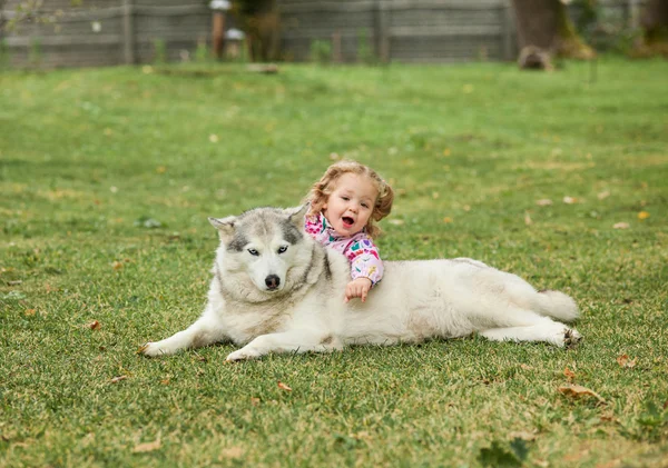 A pequena menina brincando com o cão contra a grama verde — Fotografia de Stock