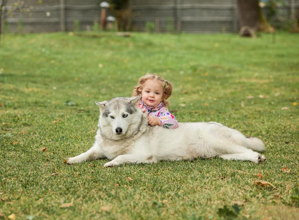 La petite fille jouant avec le chien contre l'herbe verte — Photo
