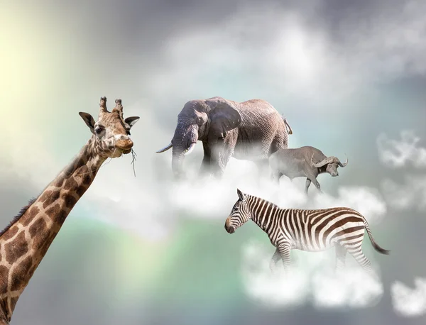 회색 하늘에 하얀 구름 위의 기린, 코끼리, 얼룩말 — 스톡 사진