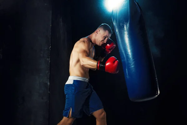Pes boxer boxu v boxovací pytel s dramatickým nervózní osvětlení v temné studio — Stock fotografie
