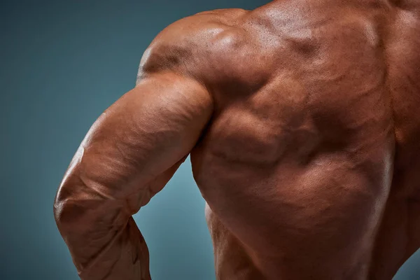 torso of attractive male body builder on gray background.