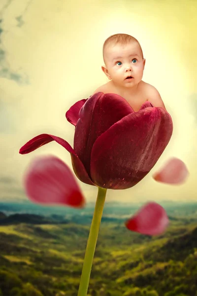 Ребенок на красном коллаже из тюльпана — стоковое фото