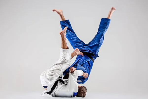 De twee judokas vechters die vechten mannen — Stockfoto