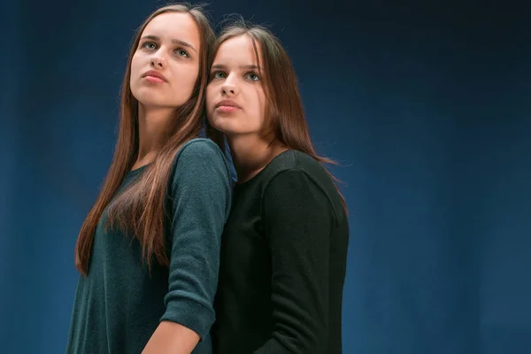 Portret dwóch młodych kobiet, piękny pokój typu twin — Zdjęcie stockowe