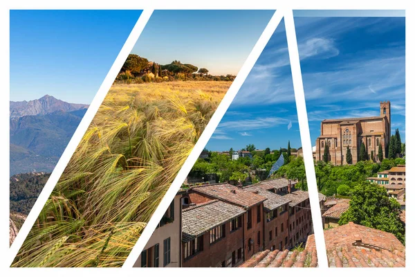 Collage der Hügel in der Toskana — Stockfoto