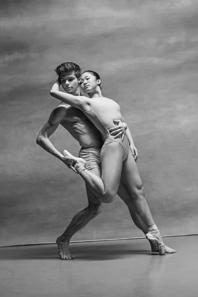 Pareja de bailarines de ballet posando sobre fondo gris — Foto de Stock