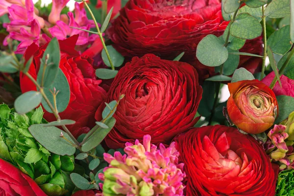Ranunkulyus는 흰색 바탕에 붉은 꽃의 꽃다발 — 스톡 사진