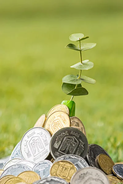 Coins on grass — Stock Photo, Image