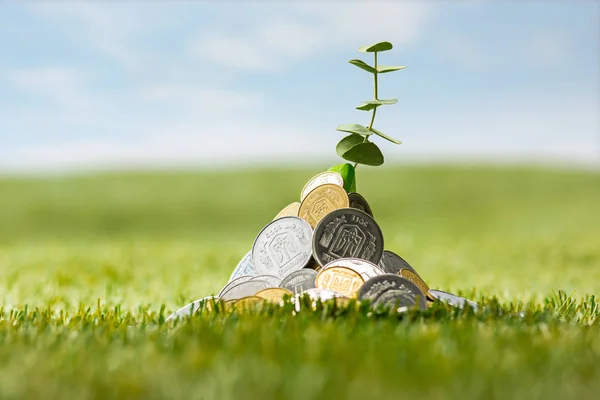 Coins on grass — Stock Photo, Image