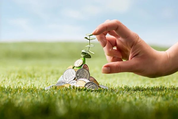 Coins on grass — Stock Photo, Image