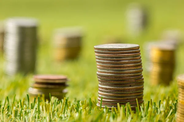 The columns of coins on grass — Stock Photo, Image