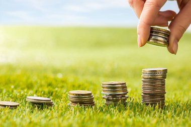 Çimenlerin üzerinde sikke sütun