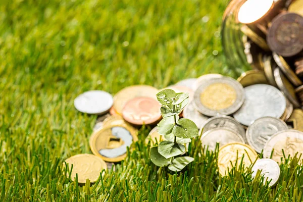 Plant growing in Coins glass jar for money on green grass — Stock Photo, Image