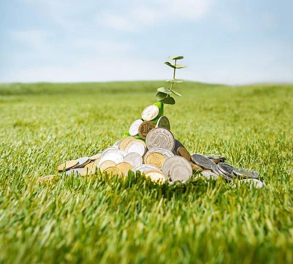 Coins on grass — Stock Photo, Image