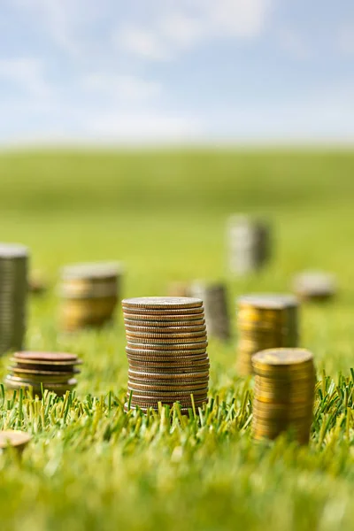 The columns of coins on grass — Stock Photo, Image