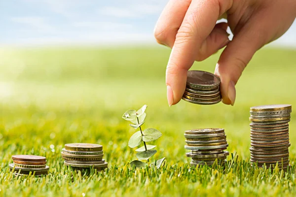 The columns of coins on grass — Stock Photo, Image