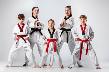 Karate dövüş sanatları eğitim çocuklar grup stüdyo çekim