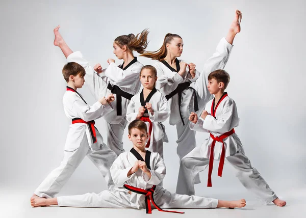 The studio shot of group of kids training karate martial arts — Stock Photo, Image